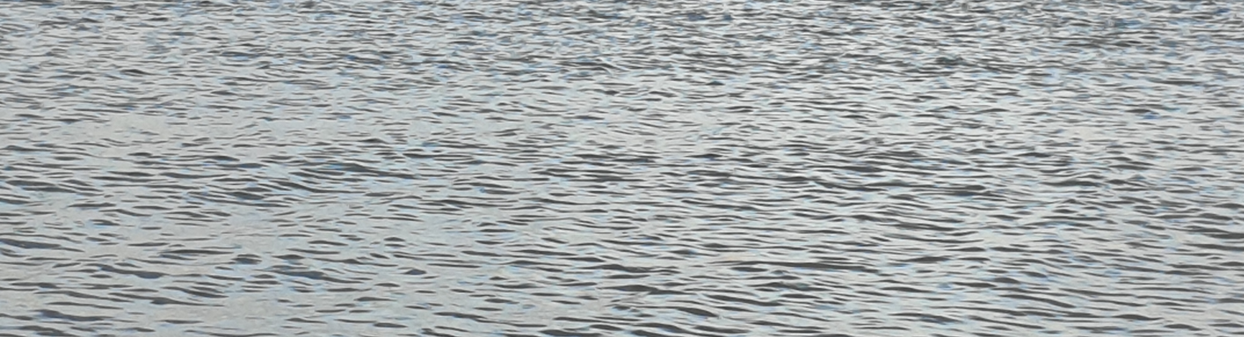 Allgemeine Gesch&auml;ftsbedingungen